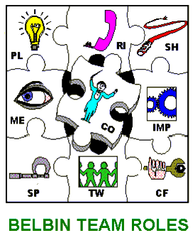 Belbin Jigsaw